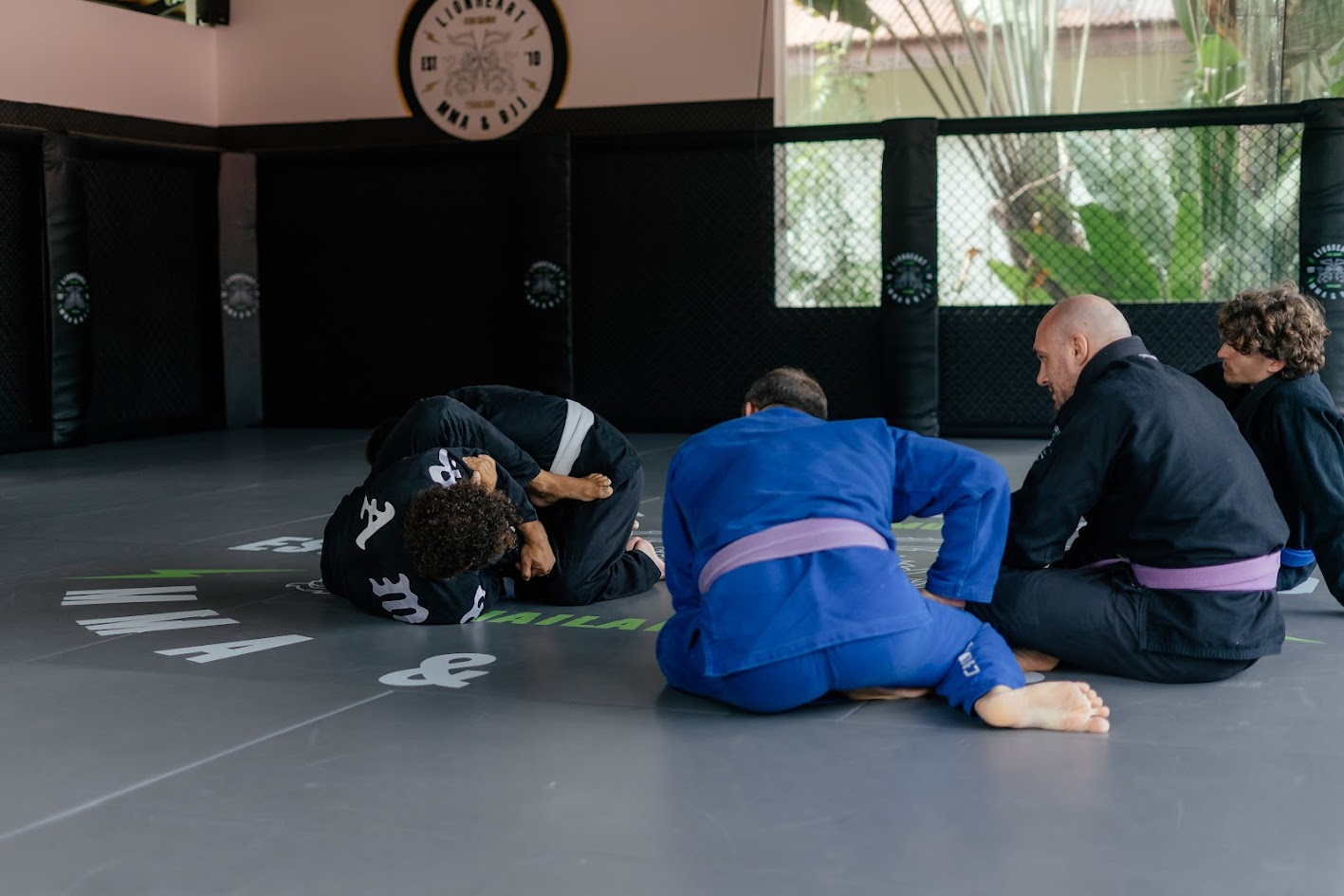 Lionheart Samui — Muay Thai camp in koh-samui