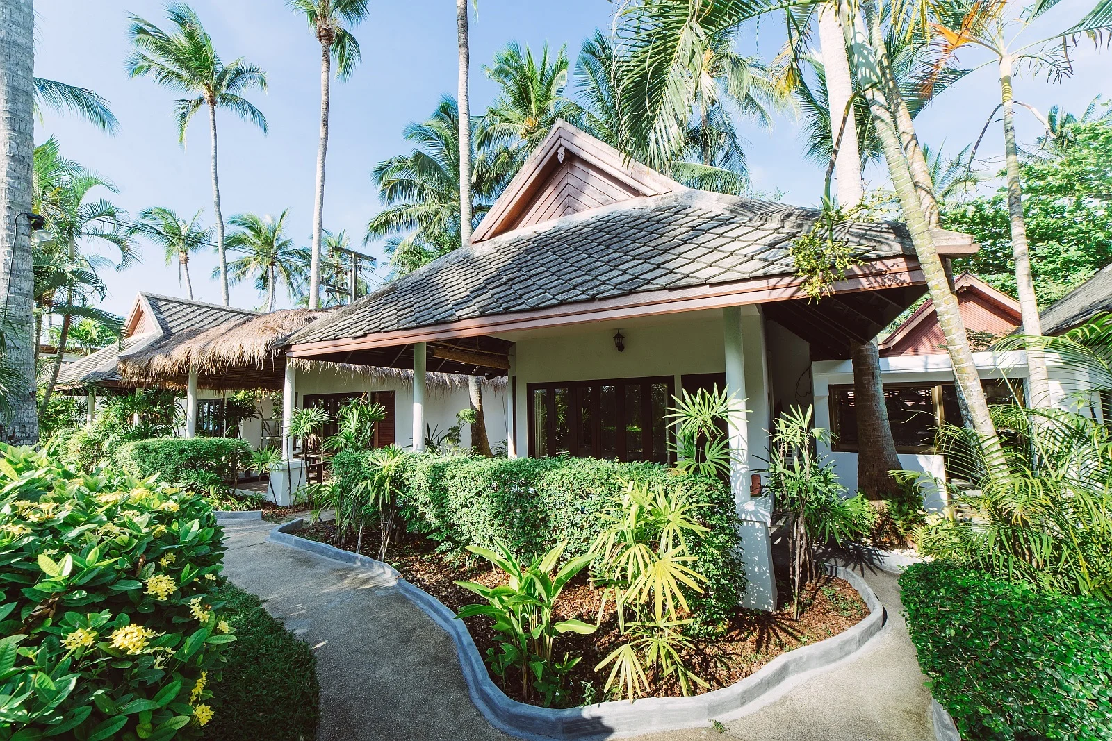 Lionheart Samui — Muay Thai camp in koh-samui