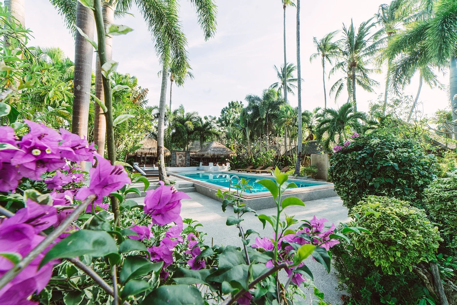Lionheart Samui — Muay Thai camp in koh-samui