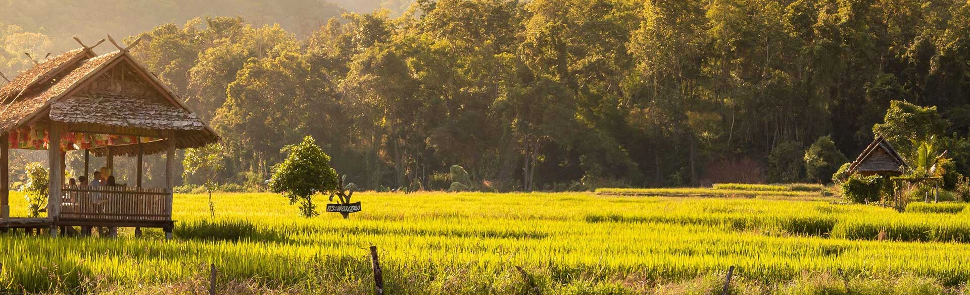 Accommodation photo 1